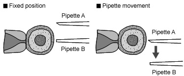 Example Example