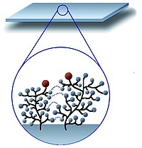Specialties & Molecular Surface Engineering Services