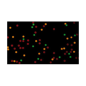 multiplex_beads_image