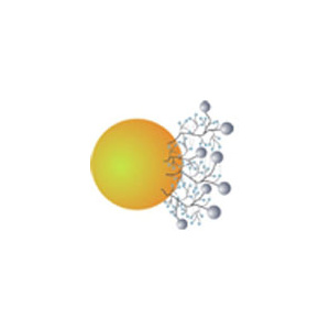 polyan_micro-__nanoparticles