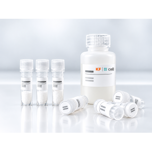 vialetti_da_laboratorio_e_reagente_kf_cell