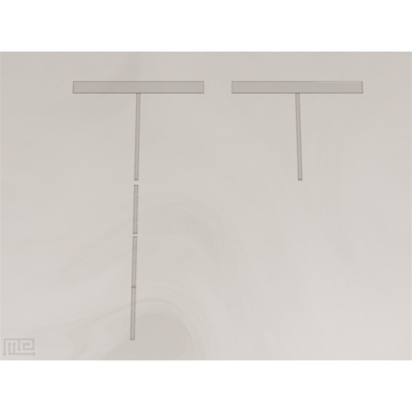 ant_t_maze_01__00001