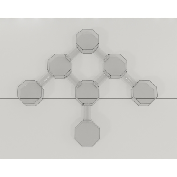 bat_octagonal_box-maze_01_2_1269191869