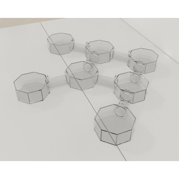 bat_octagonal_box-maze_01_3_560455369