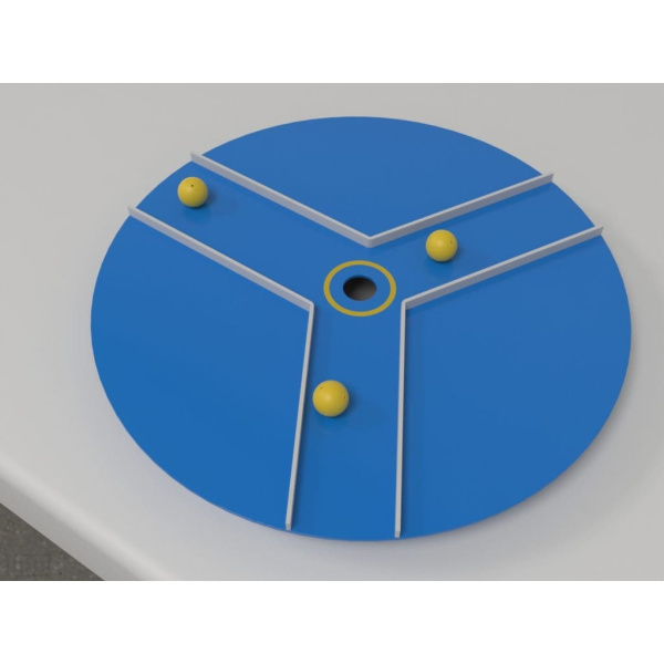 bumblebee_full_platform2_01_2-1024x768