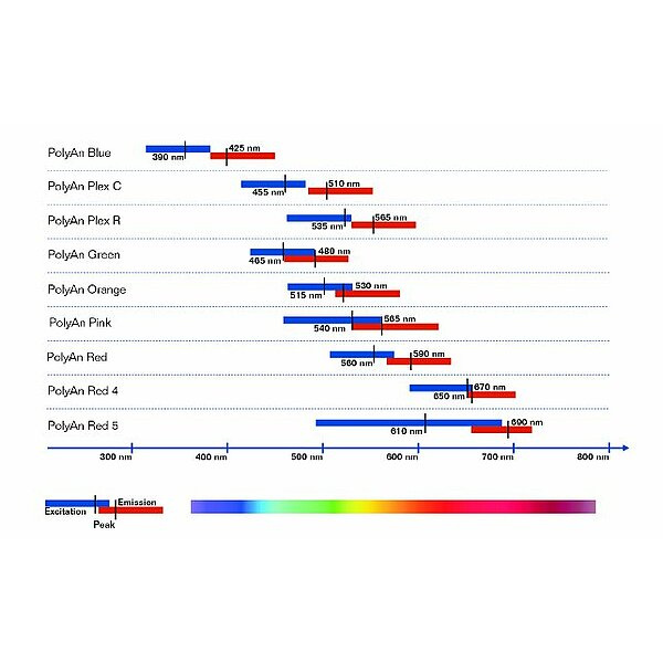 csm_beads_fluorophores_en_a2227cae2c