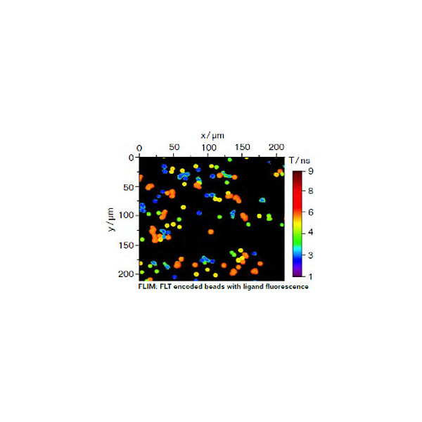 csm_flim_beads_305ac5d209