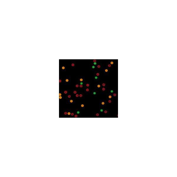csm_multiplex_beads_image_small_b0d9dd478f_2051541156