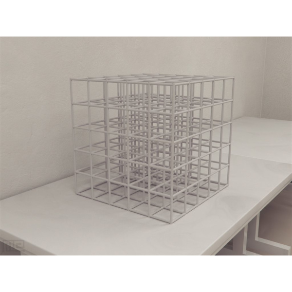 cubic_maze_rat_01__00010