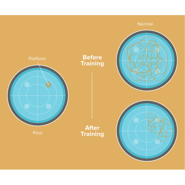 experiment-position-bg
