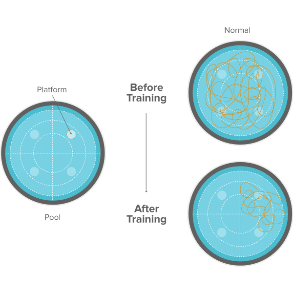 experiment-position-transparent-bg