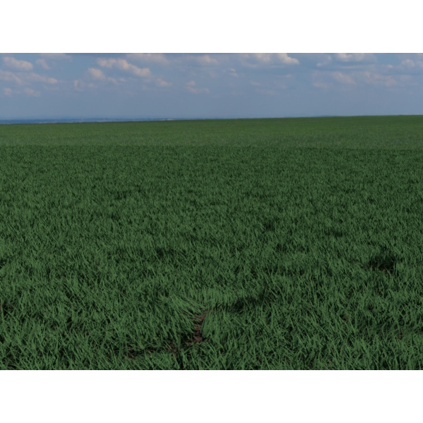 grass_field_01_7