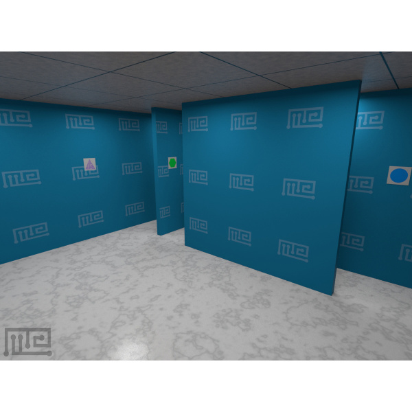 hebb-williams_vr_01_3