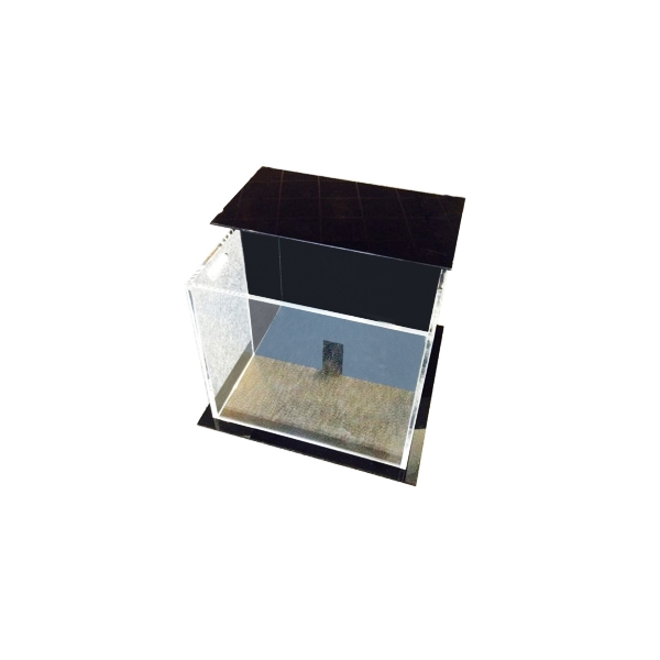 light-dark_box_rat