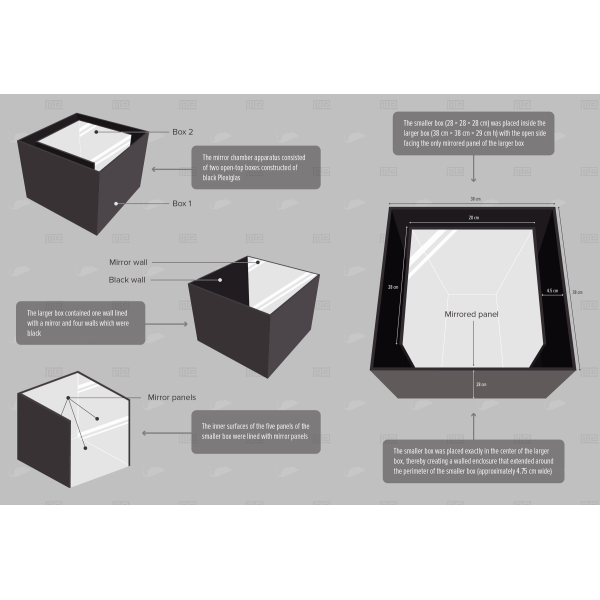 mirror-box-02