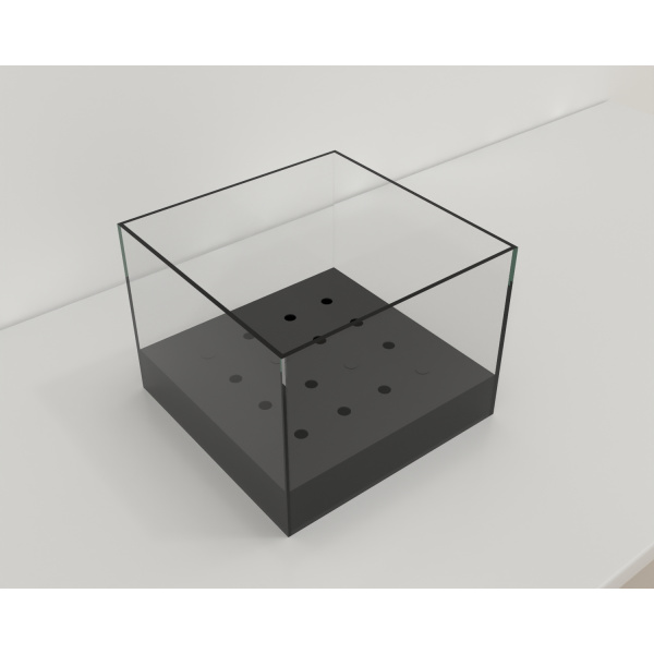 olfactory_hole-board_01_1