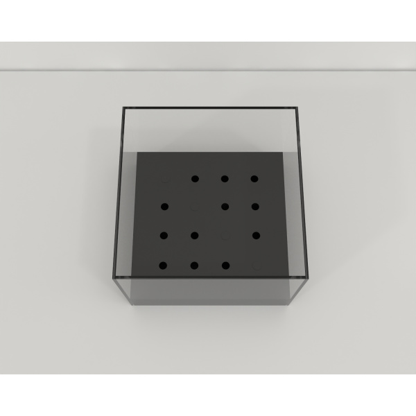 olfactory_hole-board_01_2