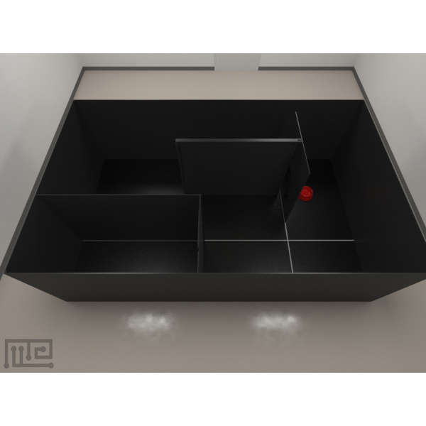 pig_mirror_01_2