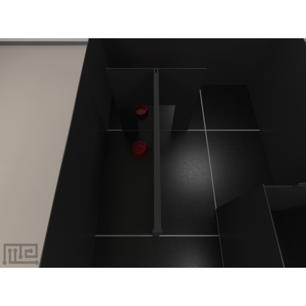 pig_mirror_01_3