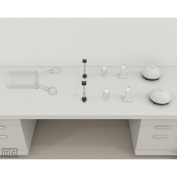 plant-insect_tube_01_2