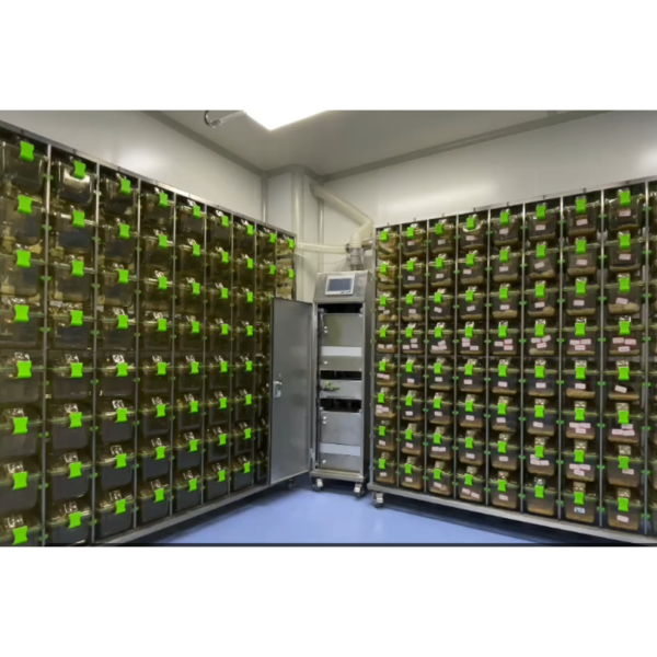 screenshot-2025-03-06-135044-600x400