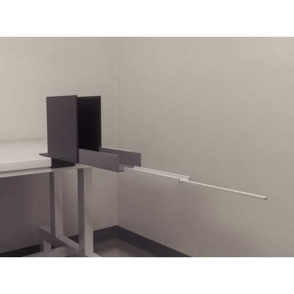 successive_alley_mouse_03