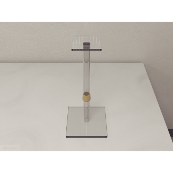 water_morris_maze_platform_01__00003