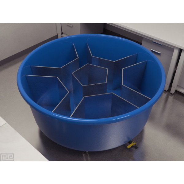 water_morris_star_maze_01__00017