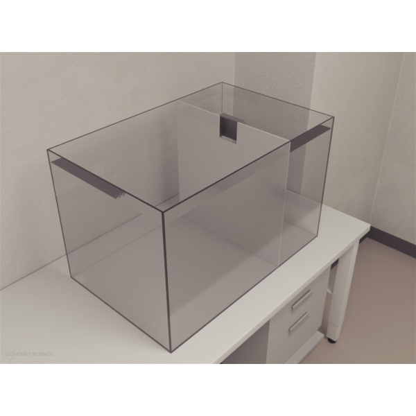 zebrafish_environmental_enrichment4