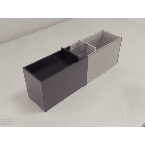 zebrafish_light-dark_01__00008