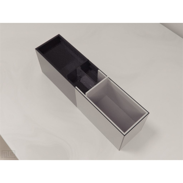 zebrafish_light-dark_01__00010