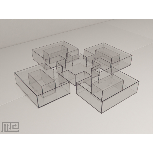 zebrafish_plus_maze_01__00008