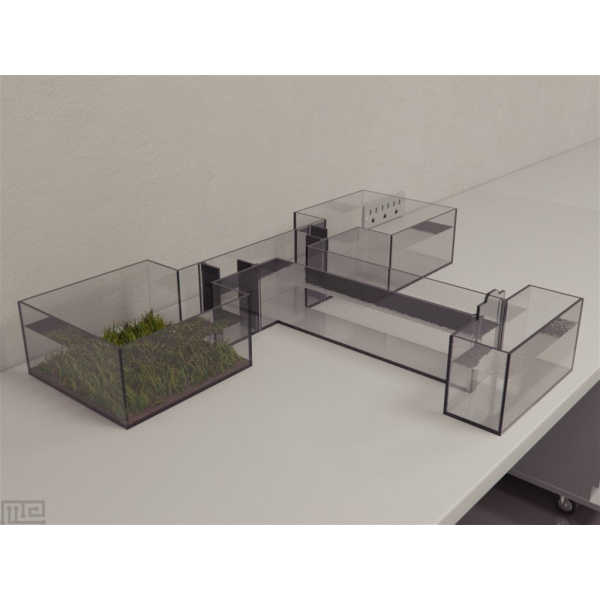 zebrafish_t-maze_01__00000