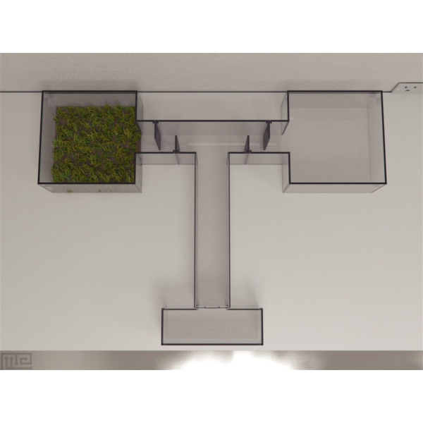 zebrafish_t-maze_01__00001