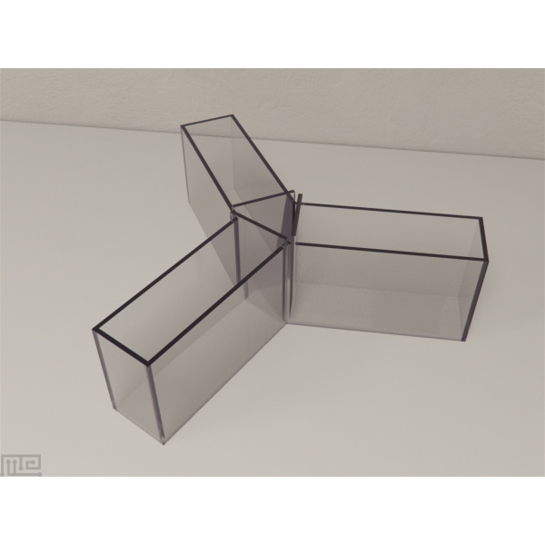 zebrafish_y_maze_01__00010
