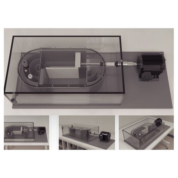 zebrafishi_tunnel_1442992640